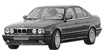 BMW E34 P204C Fault Code